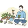 ナスの家庭菜園：支柱立てと管理