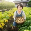 家庭菜園 じゃがいも