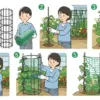 家庭菜園 きゅうり 支柱